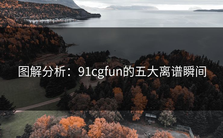 图解分析：91cgfun的五大离谱瞬间