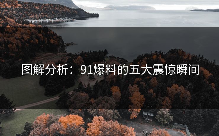 图解分析：91爆料的五大震惊瞬间