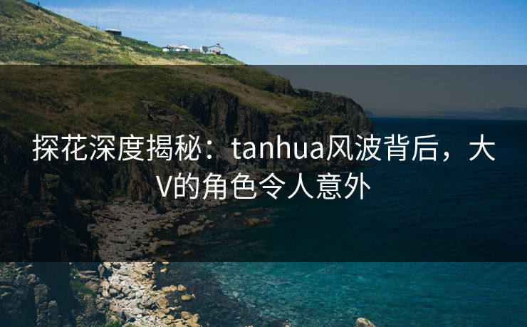 探花深度揭秘：tanhua风波背后，大V的角色令人意外