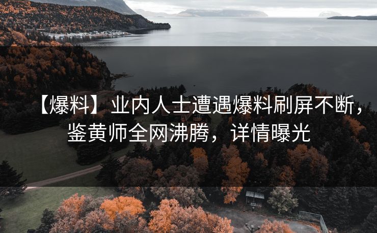 【爆料】业内人士遭遇爆料刷屏不断，鉴黄师全网沸腾，详情曝光