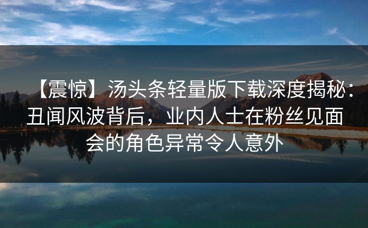 【震惊】汤头条轻量版下载深度揭秘：丑闻风波背后，业内人士在粉丝见面会的角色异常令人意外