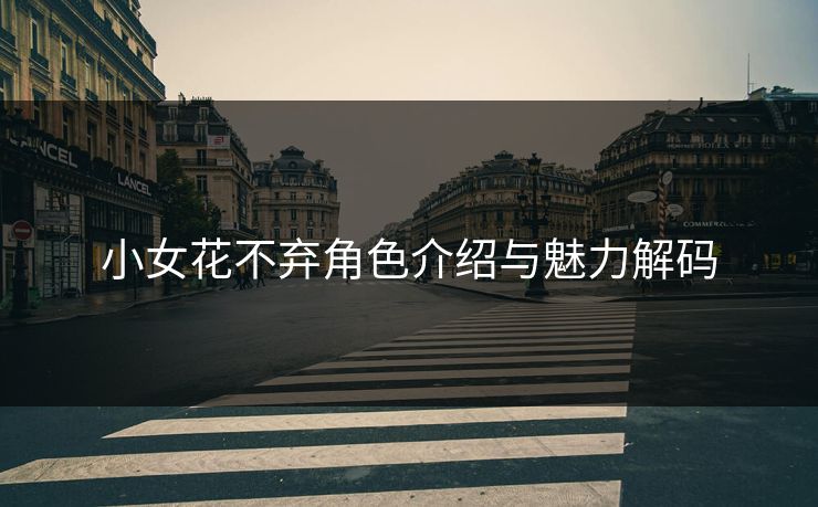 小女花不弃角色介绍与魅力解码