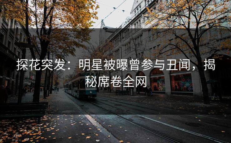探花突发：明星被曝曾参与丑闻，揭秘席卷全网