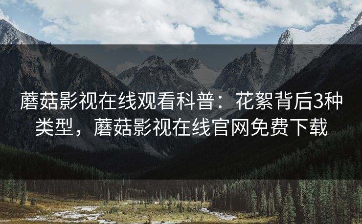 蘑菇影视在线观看科普：花絮背后3种类型，蘑菇影视在线官网免费下载